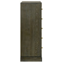 Gran Park Chest