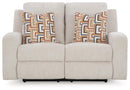 Danum Reclining Loveseat