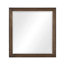 Brevard Mirror