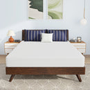 Nasturtium 8" Queen Bamboo Charcoal Infused Memory Foam