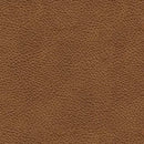 Carianna Sofa Sleeper