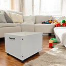 2 Toy Boxes-Optional
