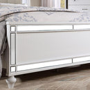 Brachium Bed