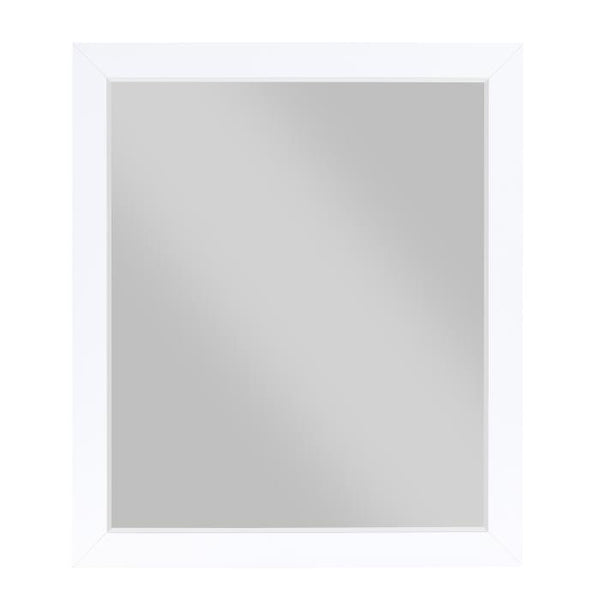B2012-6 - Mirror