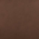 Pincara Power AutoGlide Recliner