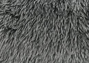 Darwen Swivel Chair