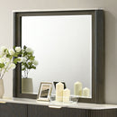 Lantrisant Mirror
